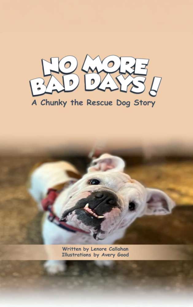 no more bad days book cover
